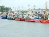 cimg6593