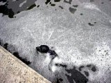 Im003859_jpg