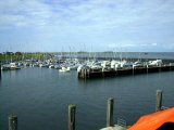 Im003906_jpg