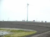 CIMG0343_jpg