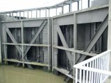 CIMG0348_jpg