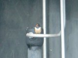 CIMG0349_jpg