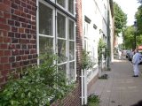 Im003832_jpg