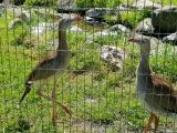20180520_144928