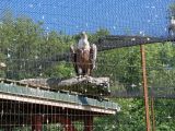 20180520_145058