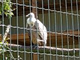 20180520_145202