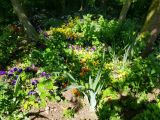 20180520_152236