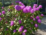 20180520_152640