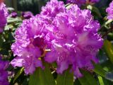 20180520_152646