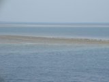 CIMG0929_jpg