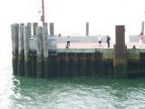 CIMG0939_jpg