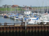 CIMG0941_jpg