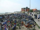 CIMG0948_jpg