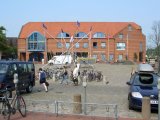 CIMG0951_jpg