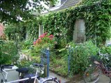 CIMG0957_jpg