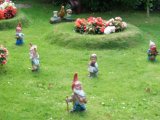 CIMG0962_jpg