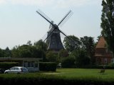 CIMG0965_jpg