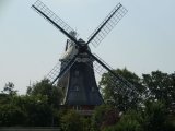CIMG0966_jpg