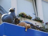 CIMG0991_jpg