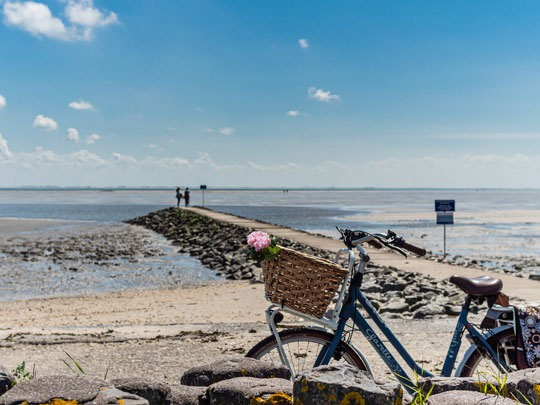 Abstand vom Alltag: Radfahren an der Küste und auf den Inseln