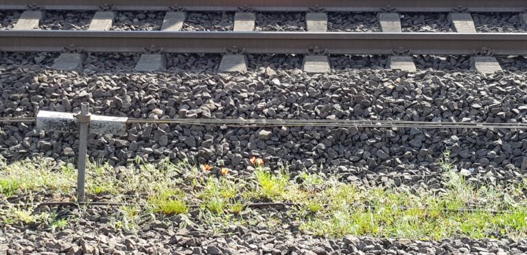 Madsen appelliert: „Zweigleisiger Ausbau und Elektrifizierung der Marschbahn braucht allerhöchste Priorität“