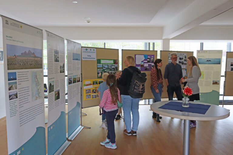Kinderausstellung macht die Biosphäre Halligen im Kreishaus erlebbar